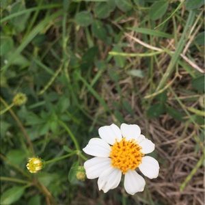 Meet your Posher, Khathy