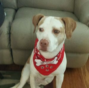 Meet your Posher, Gina