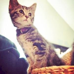 Meet your Posher, Leah