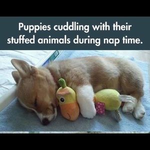 Meet your Posher, Monique