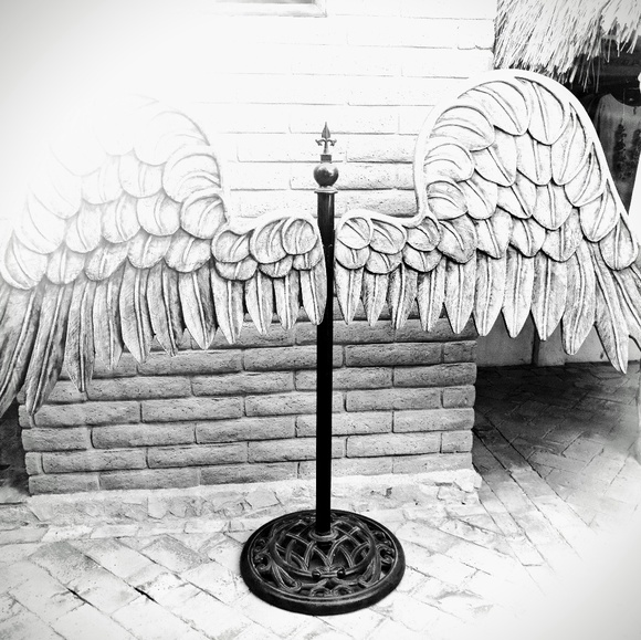 Meet your Posher, Ranea - Picture 4 of 4