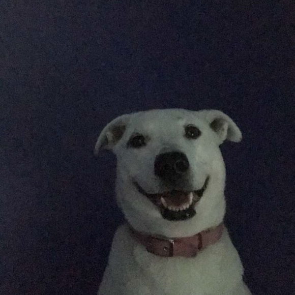 Meet your Posher, Thao - Picture 1 of 1