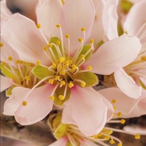 Meet your Posher, Carly