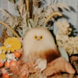 Meet your Posher, Eli