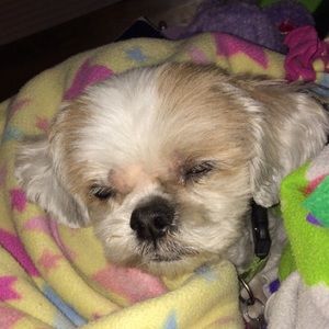 Meet your Posher, Kylie