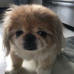 Meet your Posher, Sarina