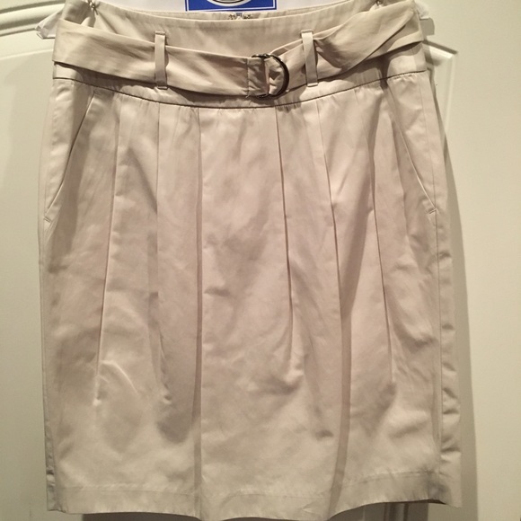 Banana Republic Pleated Skirt with Belt - Picture 1 of 6