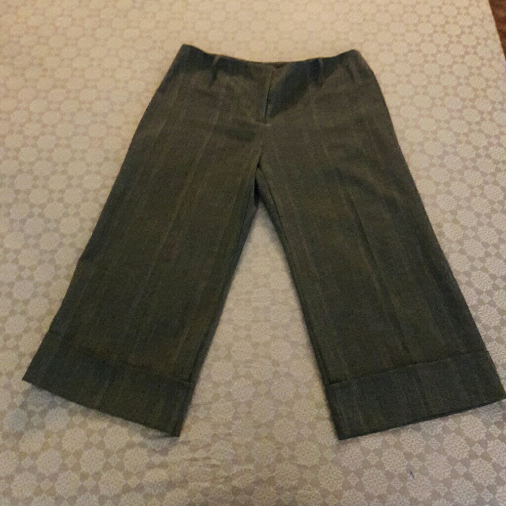 BEAUTIFUL DRESSY CAPRI PANTS