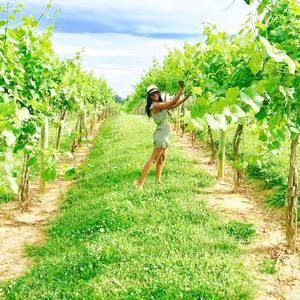 Meet your Posher, Tieisha