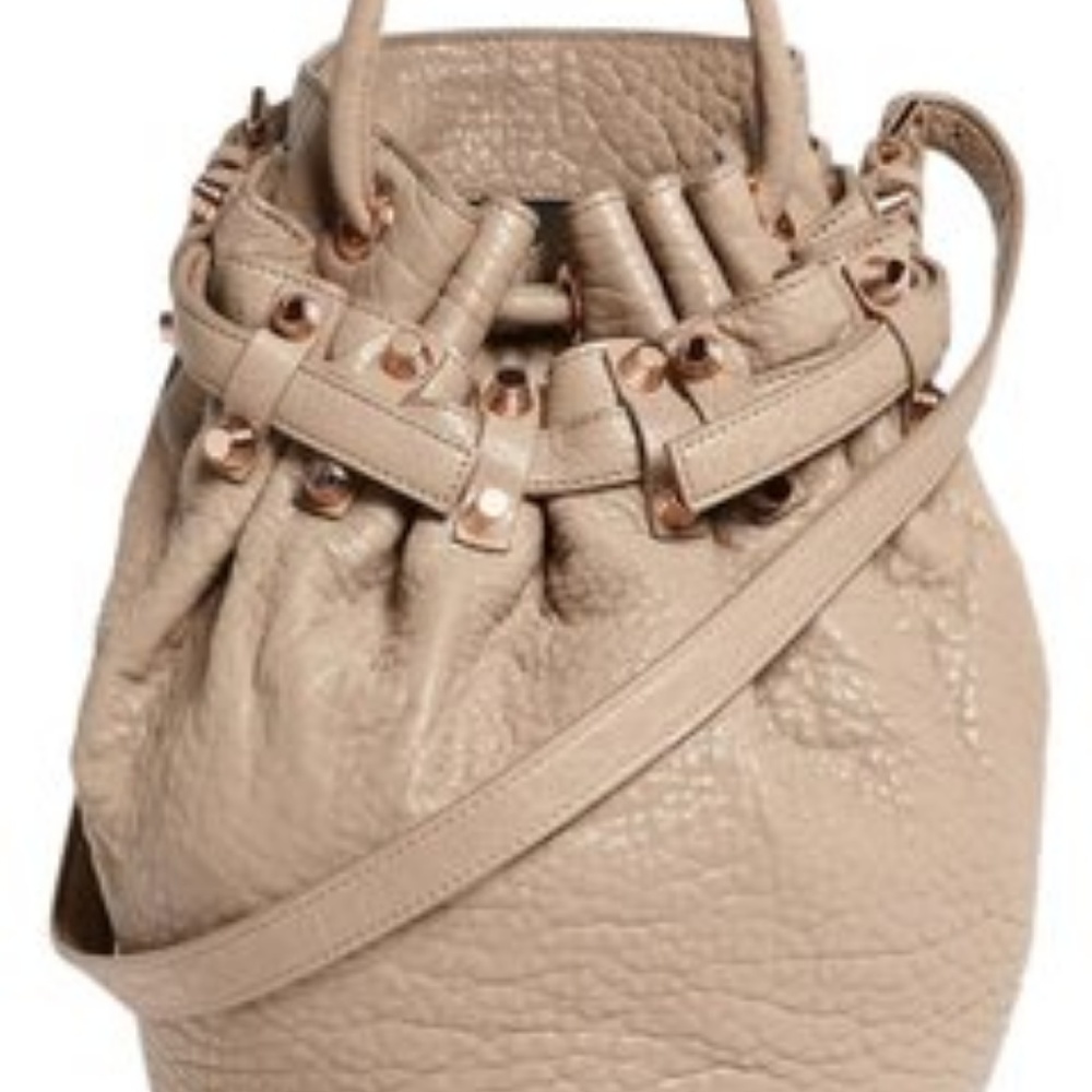 Authentic Alexander Wang Diego Bucket Bag