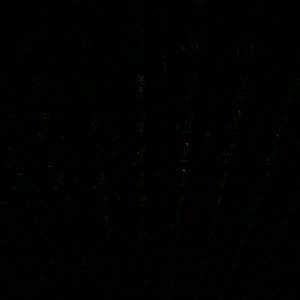 Meet your Posher, Ben