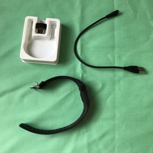 Fitbit Charge HR Large