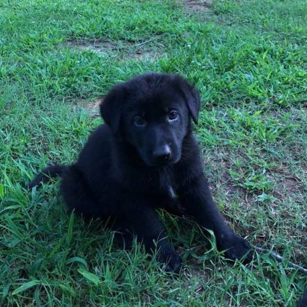 Meet your Posher, Kristie n tim