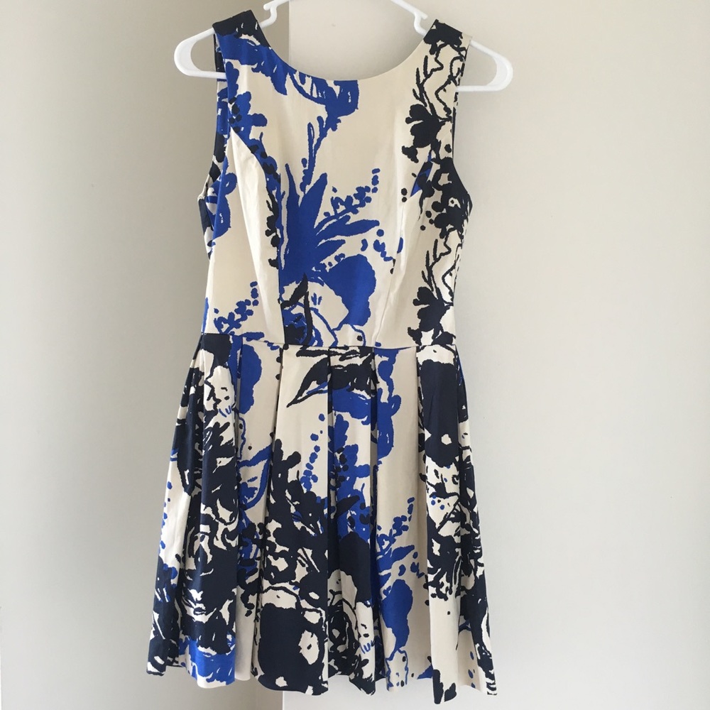 Brand New Fit and Flare Skater Dress