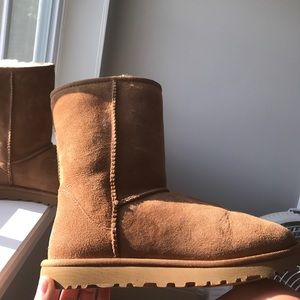 Classic Women's short chestnut uggs