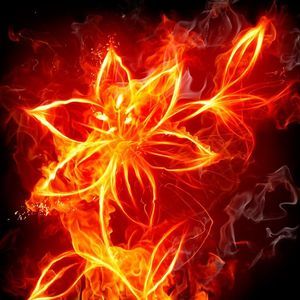 Meet your Posher, Alishia