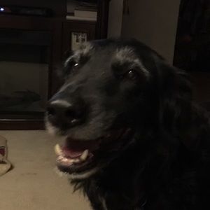 Meet your Posher, Lynn