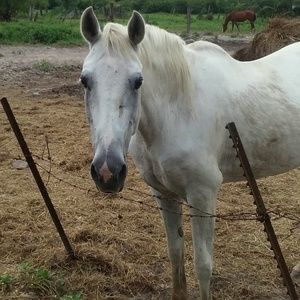 Meet your Posher, Alyce