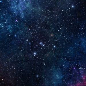 Meet your Posher, Ashlee