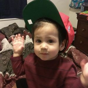 Meet your Posher, Hector