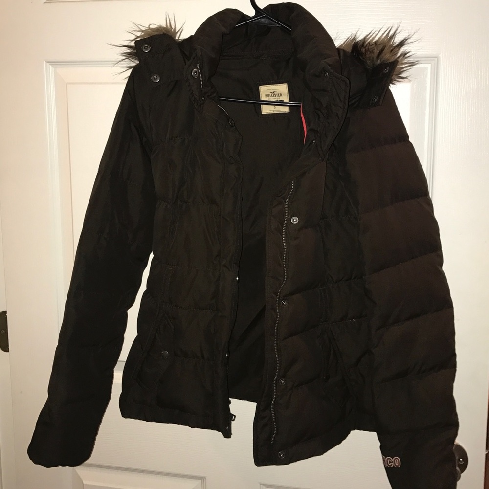 Hollister Winter Coat