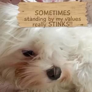 Meet your Posher, Renee