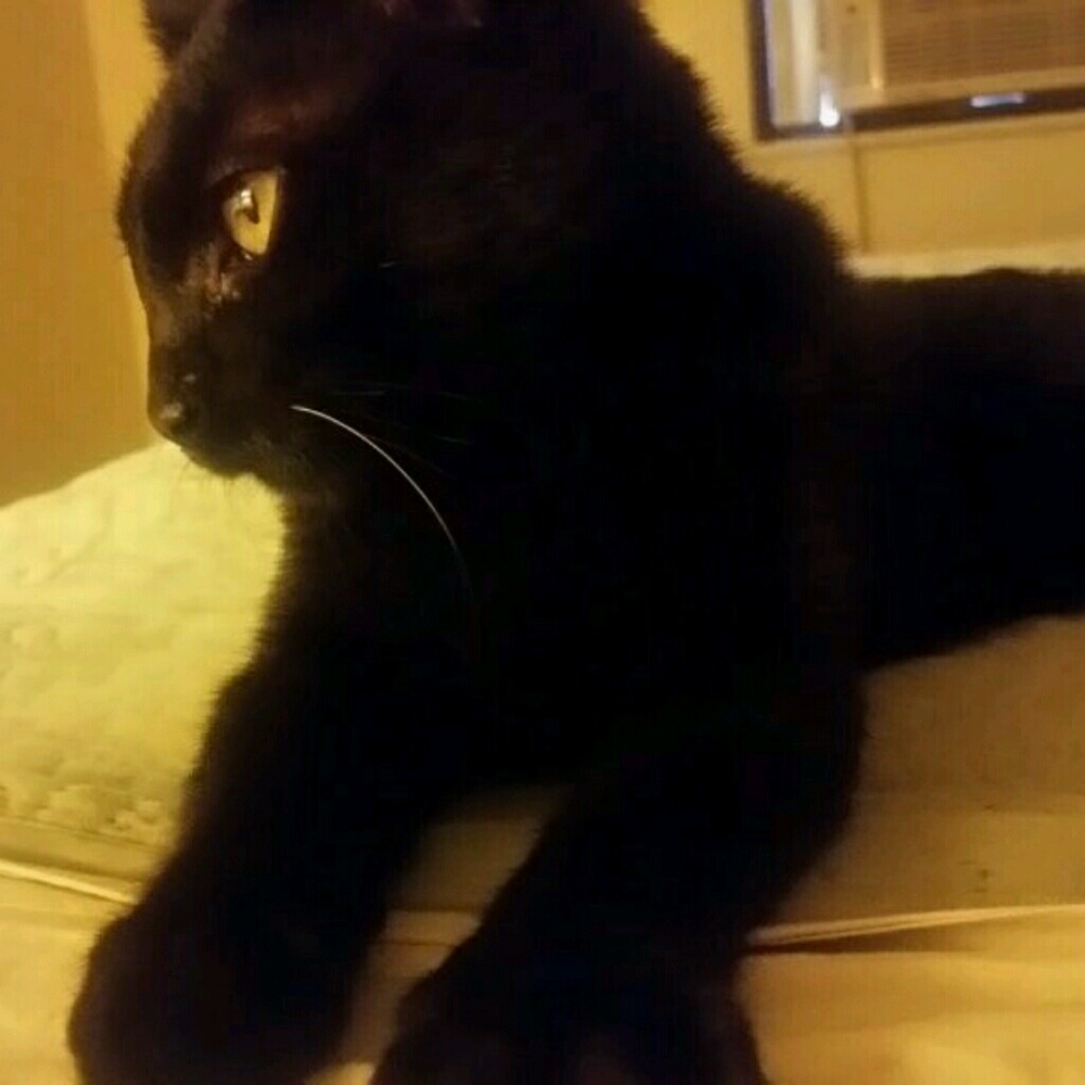 Meet your Posher, Laura