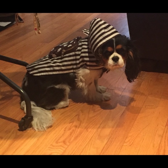 Meet your Posher, Greg - Picture 1 of 1