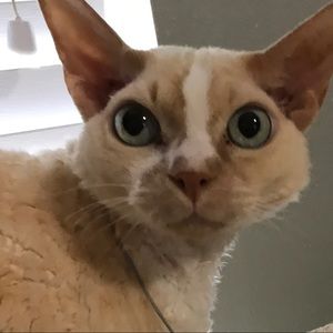 Meet your Posher, Erinn