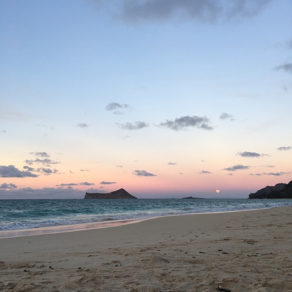 Meet your Posher, Shaye - Picture 1 of 1