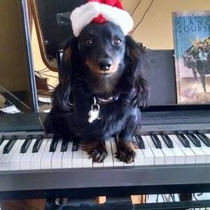 Meet your Posher, Stephen