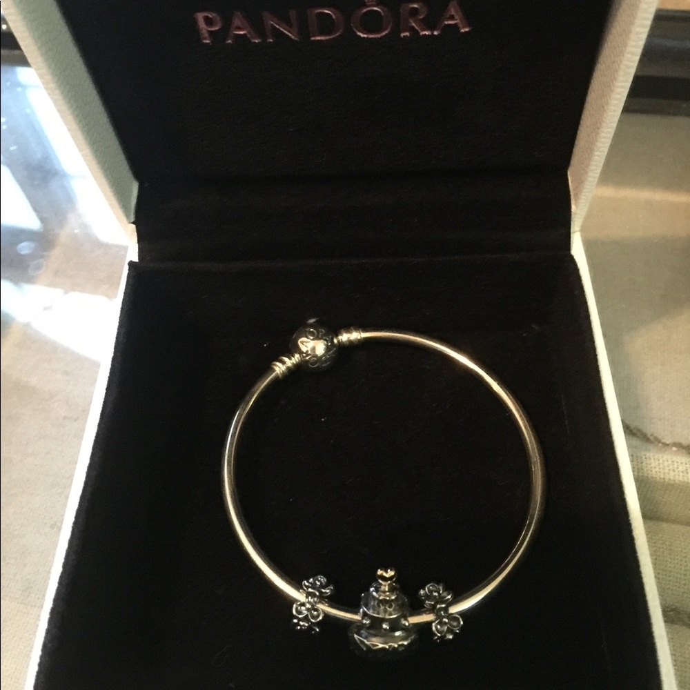 Pandora Bracelet (& 3 Charms)