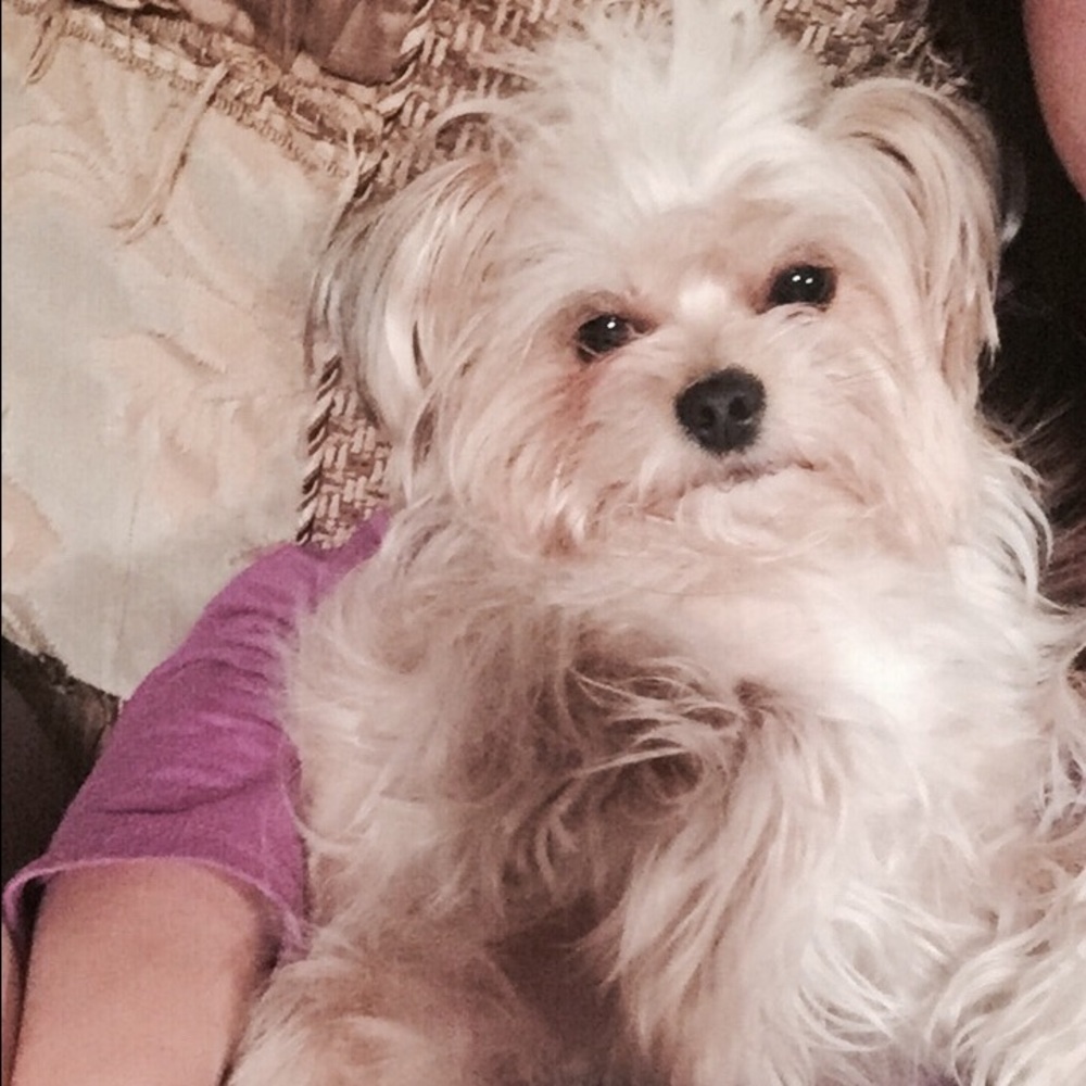 Meet your Posher, Vivian