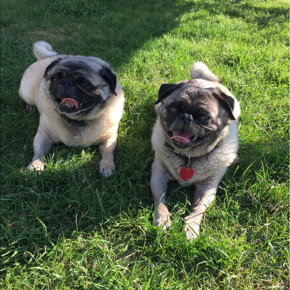 Meet your Posher, Andy