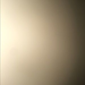 Meet your Posher, Myah