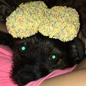 Meet your Posher, Cole