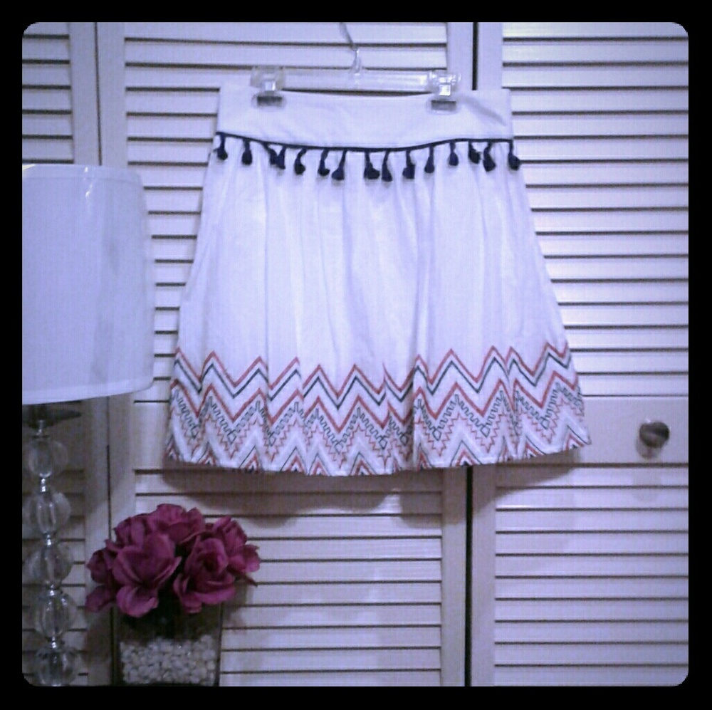 NWOT Embroidered skirt