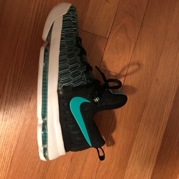 Birds of paradise kd 9 - Picture 2 of 3