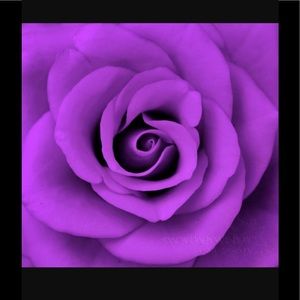 Meet your Posher, Hope