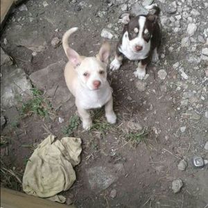 Meet your Posher, Fran