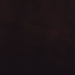 Meet your Posher, Freddy