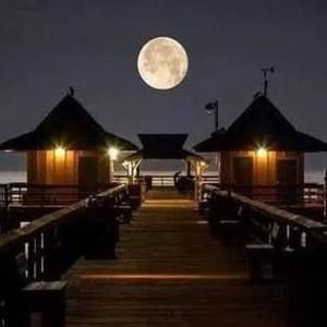 Meet your Posher, Ely