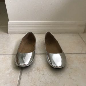 Silver Flats