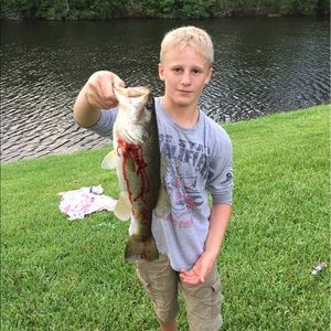 Meet your Posher, Hunter