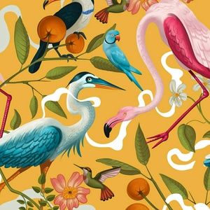 Meet your Posher, Jamie