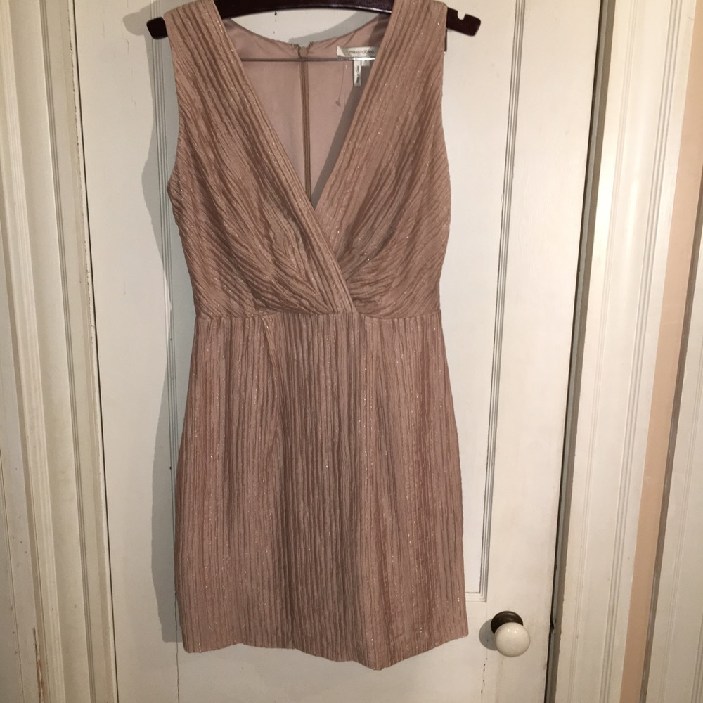 Max & Cleo V-Neck Blush Dress w Empire Waist NWT