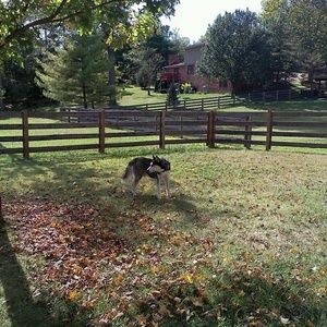 Meet your Posher, Rosemary