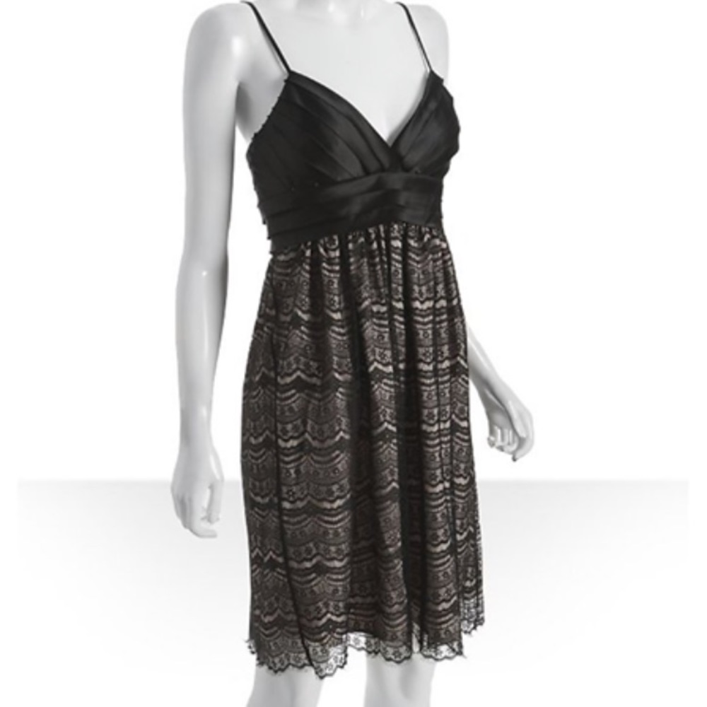 Max And Cleo Tea Lace Dress - Picture 4 of 8