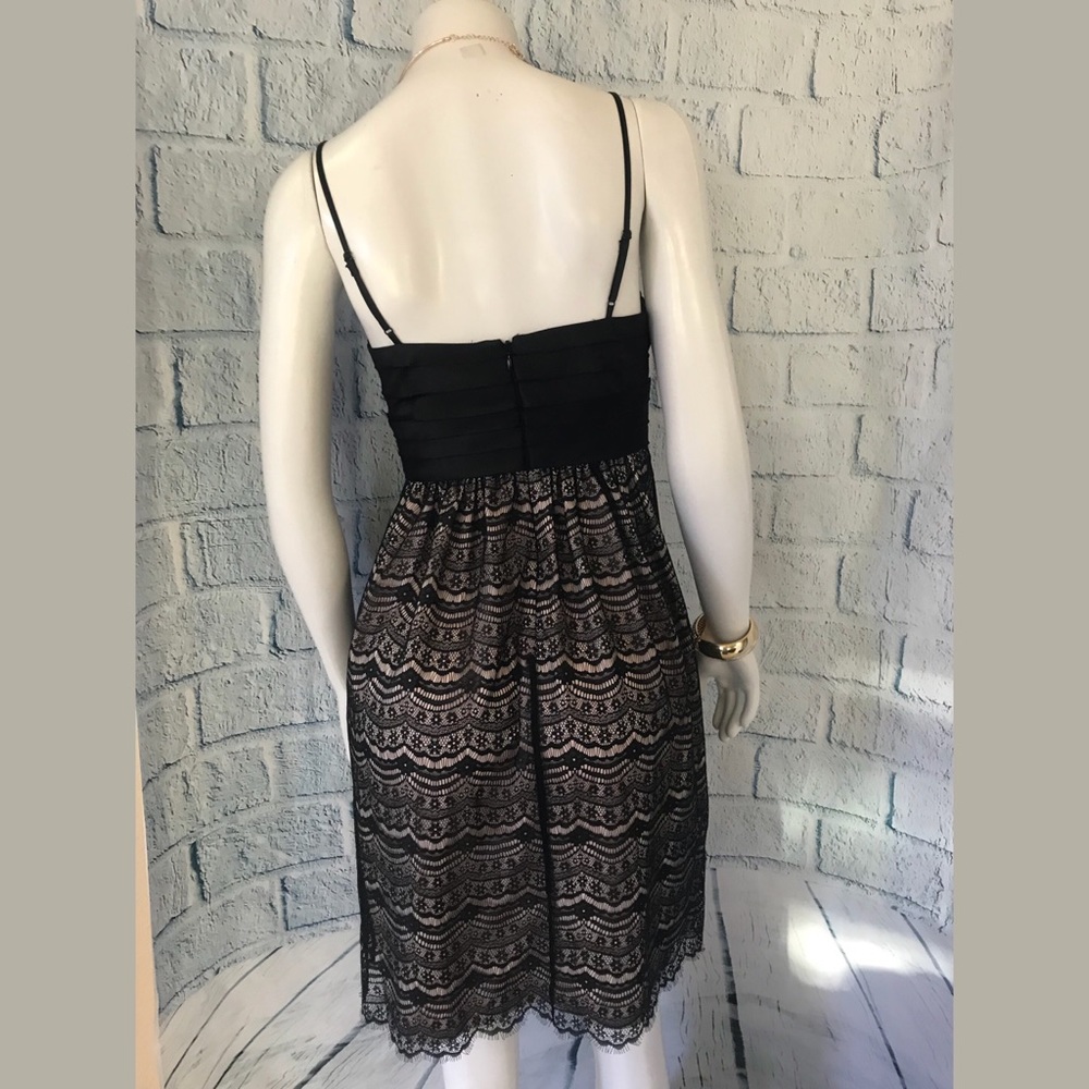 Max And Cleo Tea Lace Dress - Picture 3 of 8