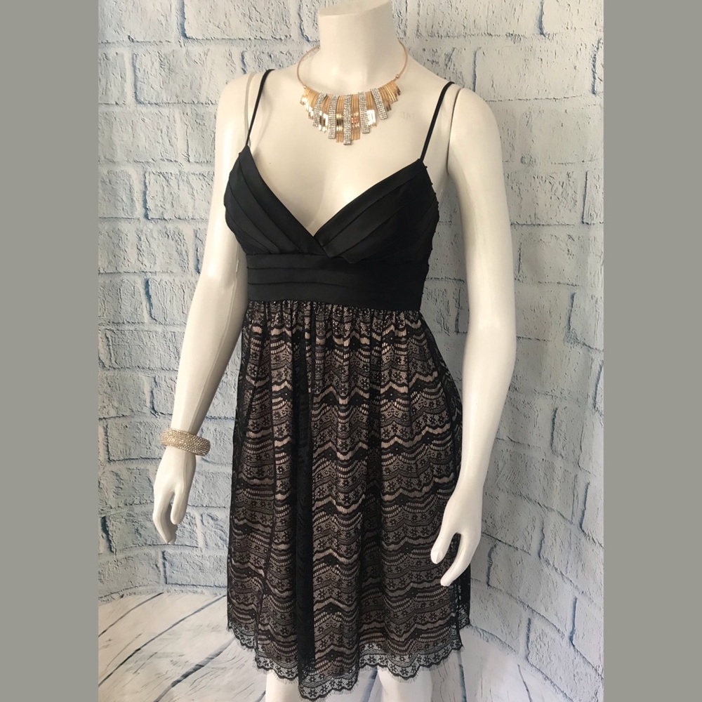 Max And Cleo Tea Lace Dress - Picture 2 of 8